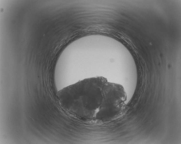 X0000084030503200702160856