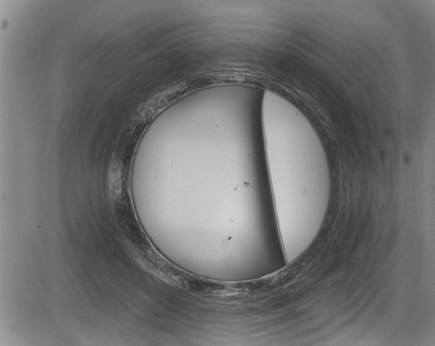 X0000084030504200702160855