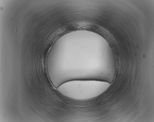 X0000084030506200702160855