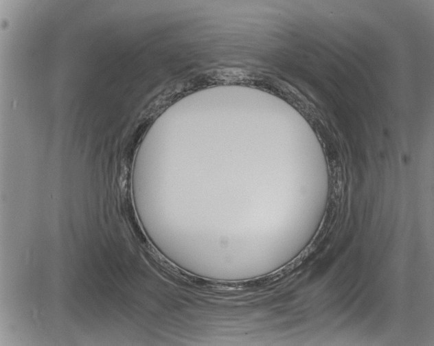 X0000084030507200702160855