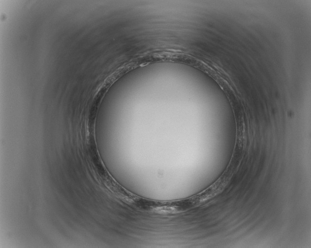 X0000084030508200702160855