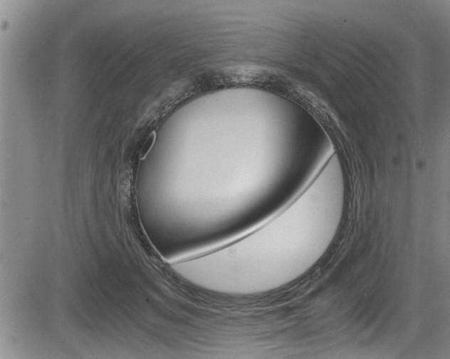 X0000084030509200702160855