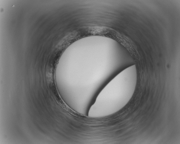 X0000084030510200702160855