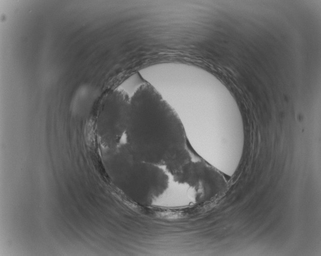 X0000084030511200702160855