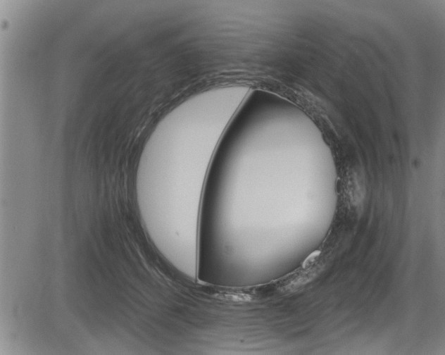 X0000084030512200702160855