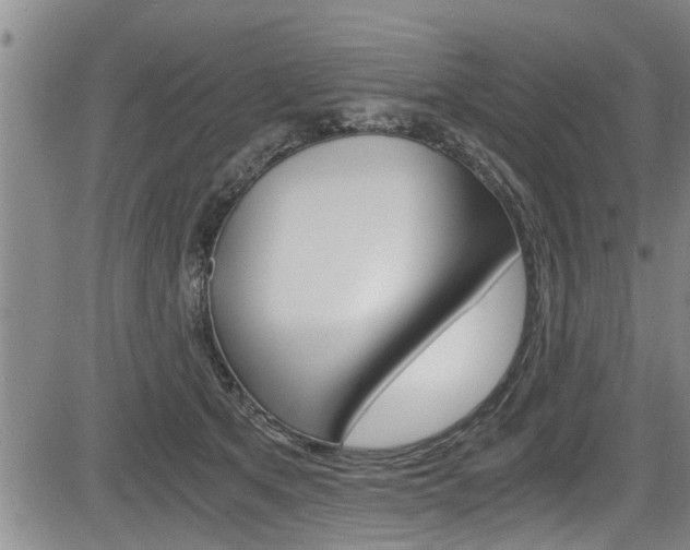 X0000084030513200702160855