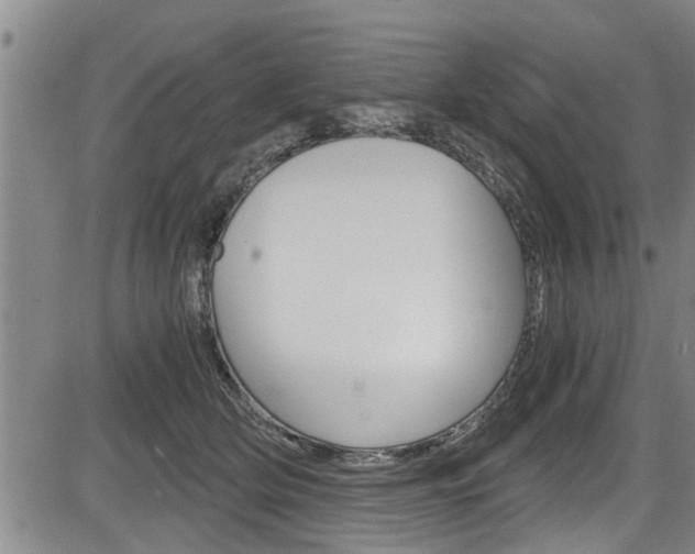 X0000084030514200702160855