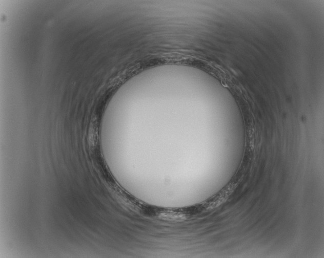 X0000084030515200702160855