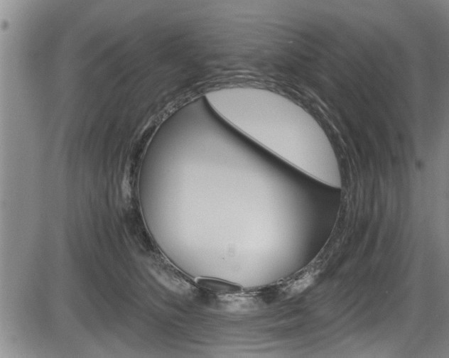 X0000084030516200702160855