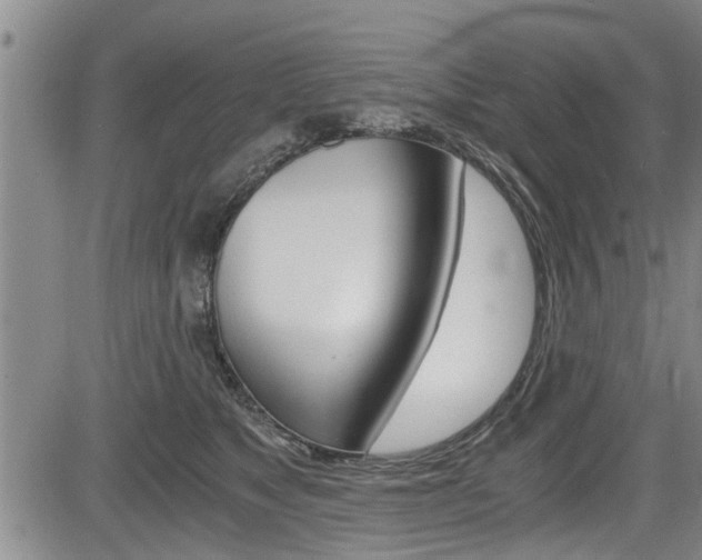 X0000084030517200702160855