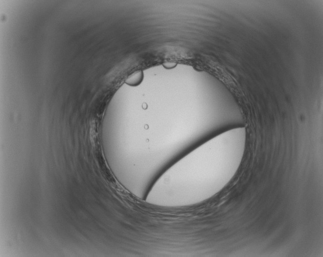 X0000084030519200702160855