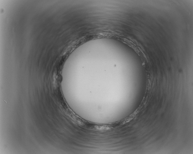 X0000084030520200702160855