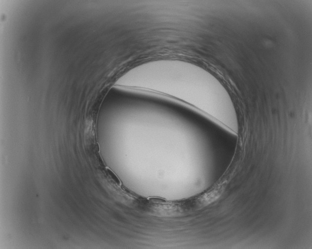 X0000084030521200702160855