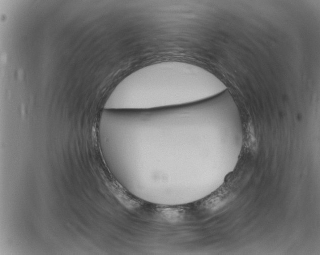 X0000084030522200702160855