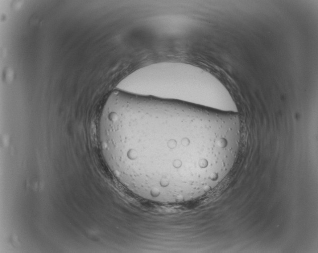 X0000084030523200702160855