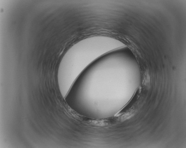 X0000084030524200702160855