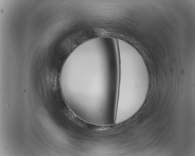 X0000084030525200702160855