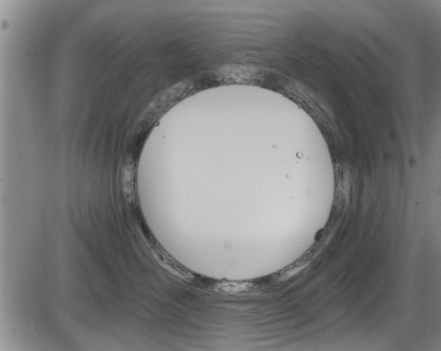 X0000084030526200702160855