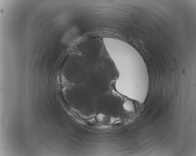 X0000084030527200702160855