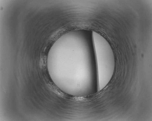 X0000084030528200702160855