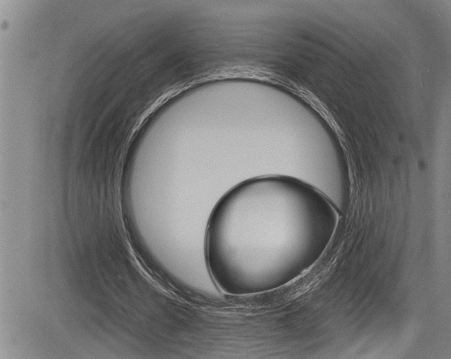 X0000084030530200702160854