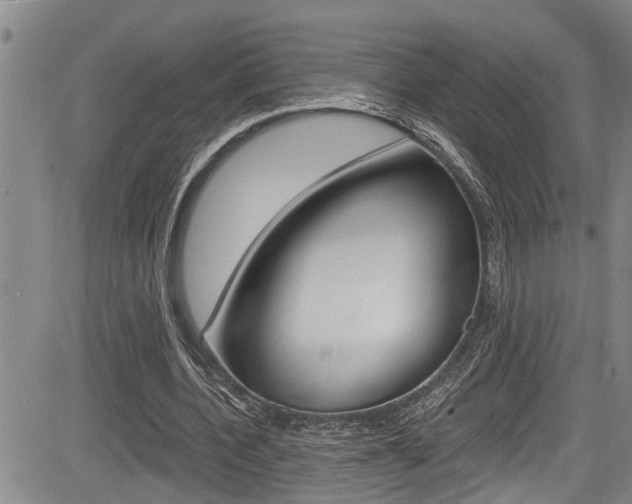 X0000084030532200702160854