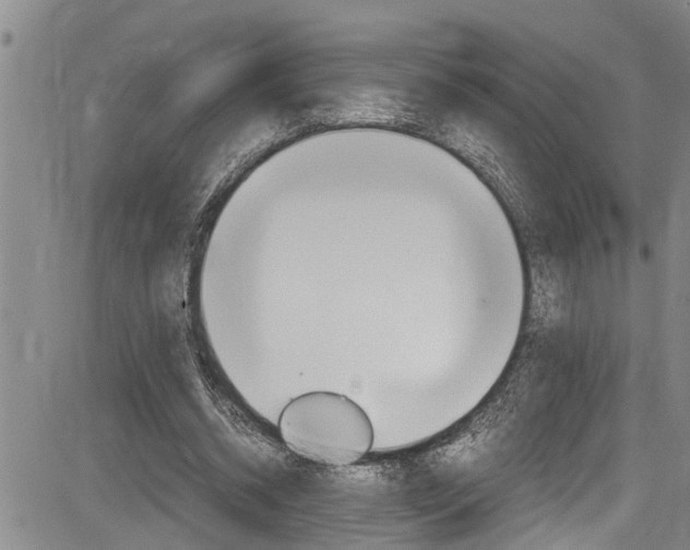 X0000084030534200702160854