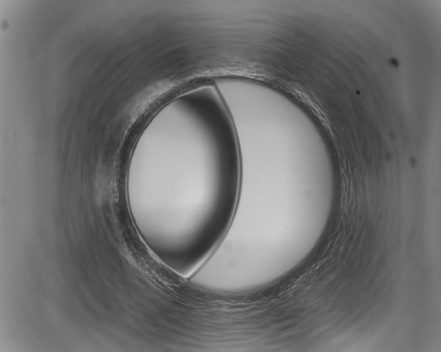 X0000084030536200702160854