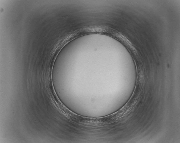 X0000084030537200702160854