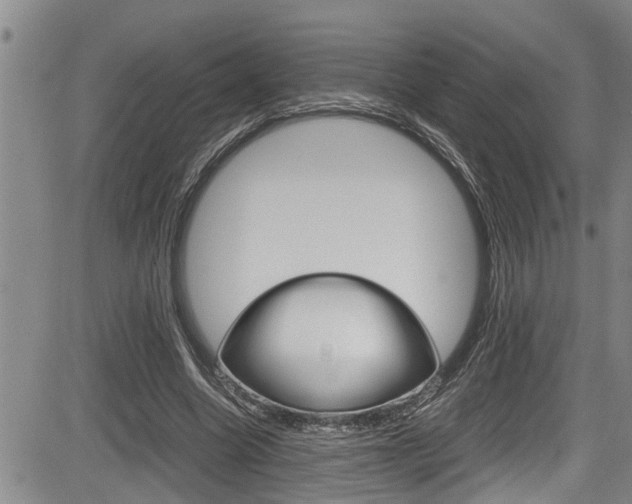 X0000084030538200702160854