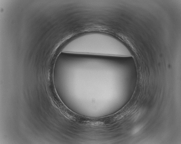 X0000084030539200702160854