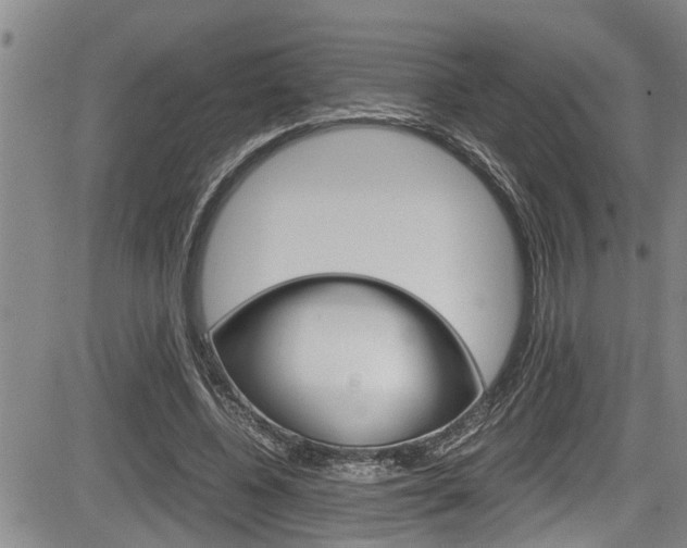 X0000084030540200702160854