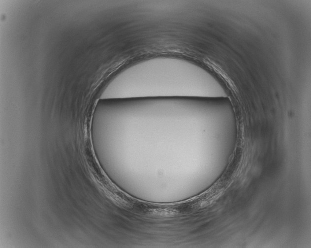 X0000084030541200702160855