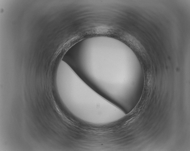 X0000084030542200702160855