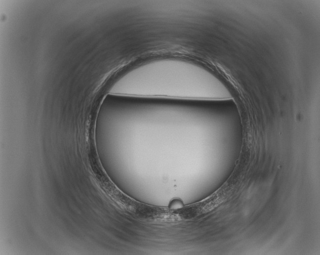 X0000084030543200702160855