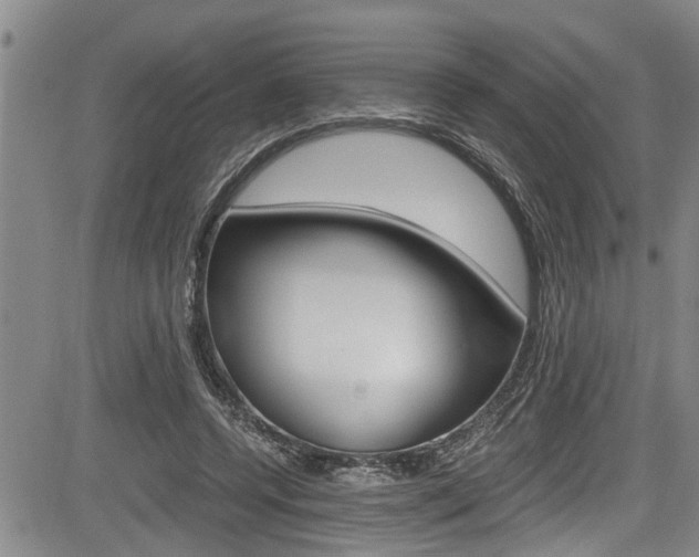 X0000084030544200702160855