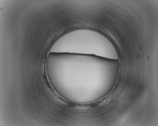 X0000084030545200702160855