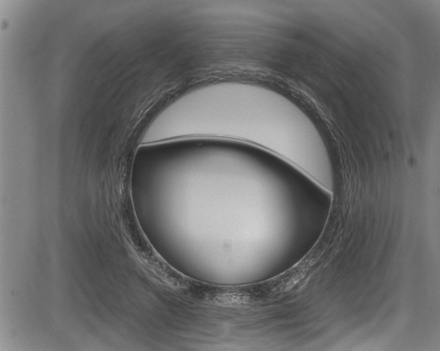 X0000084030546200702160855