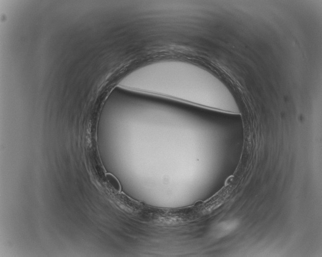 X0000084030547200702160855