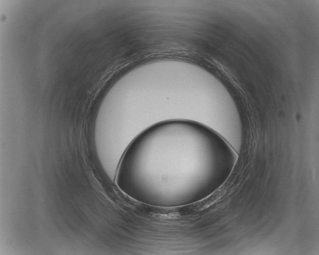 X0000084030548200702160855