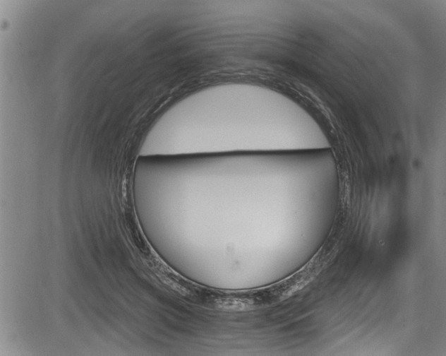 X0000084030549200702160855