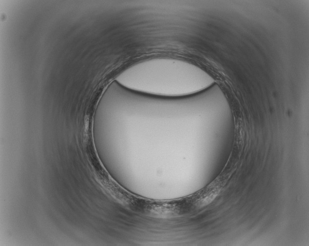 X0000084030550200702160855