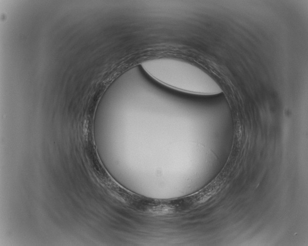 X0000084030551200702160855