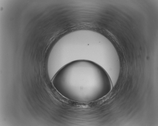 X0000084030552200702160855