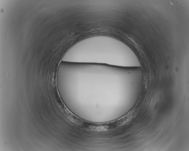 X0000084030553200702160855