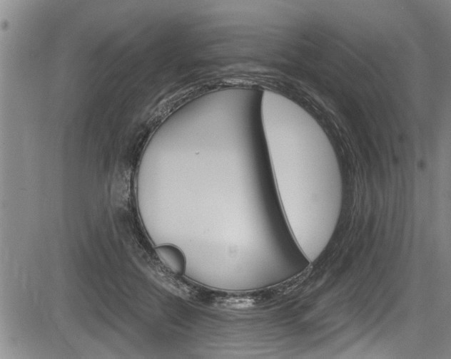 X0000084030554200702160855