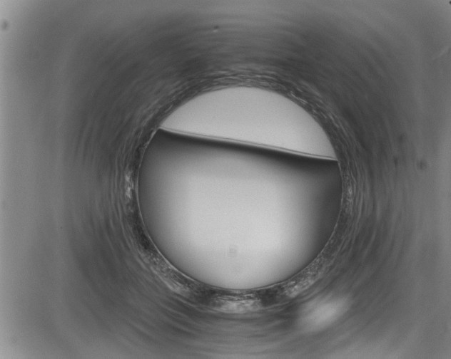 X0000084030555200702160855