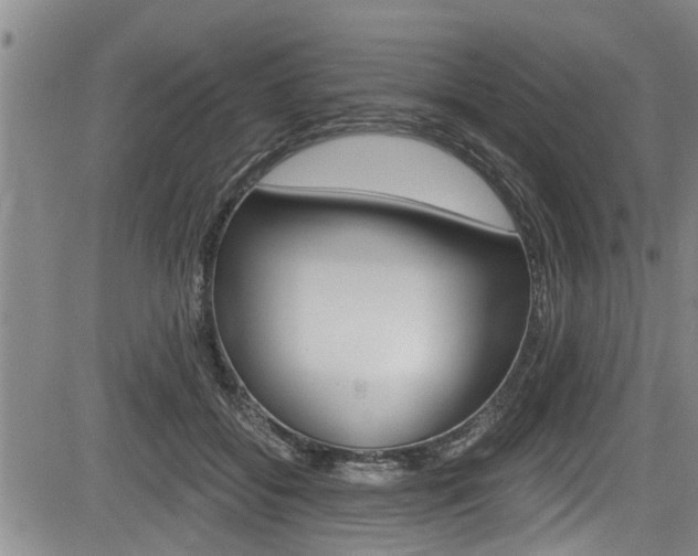 X0000084030556200702160855