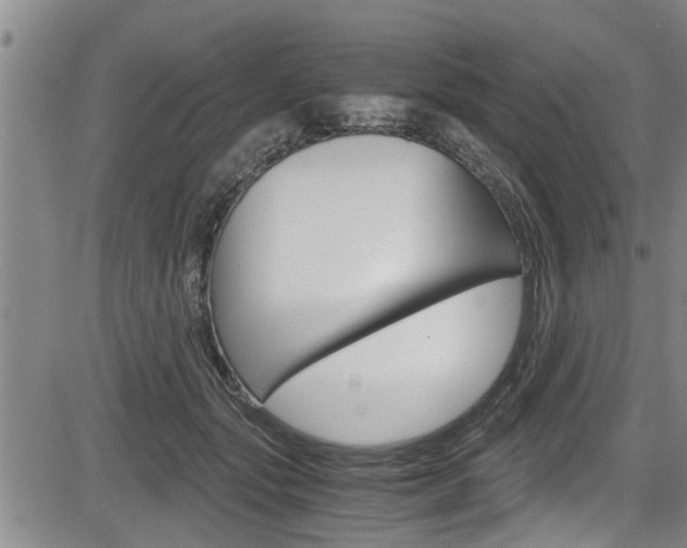 X0000084030557200702160855