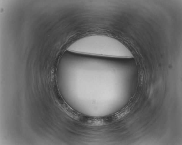 X0000084030559200702160855